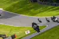 Middle 1 Group Black Bikes
